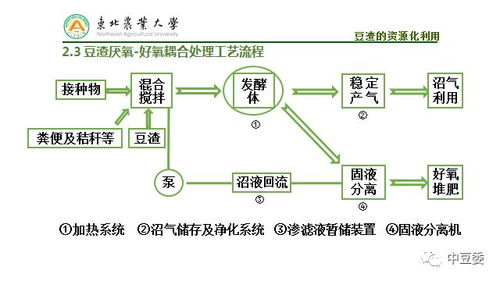 孫勇 豆腐制品加工過程廢棄物資源化利用技術與非常規水源利用技術研發